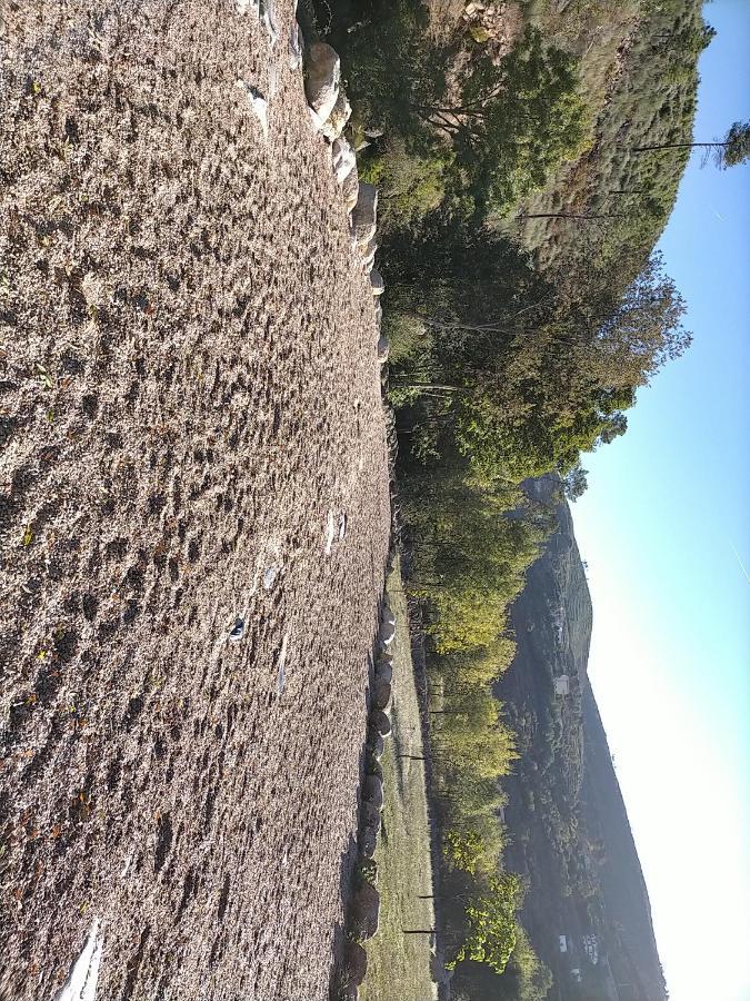 בית הארחה Casa Campo Cortes De Baixo מראה חיצוני תמונה